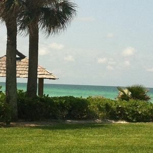 Meet your Posher, Antonia